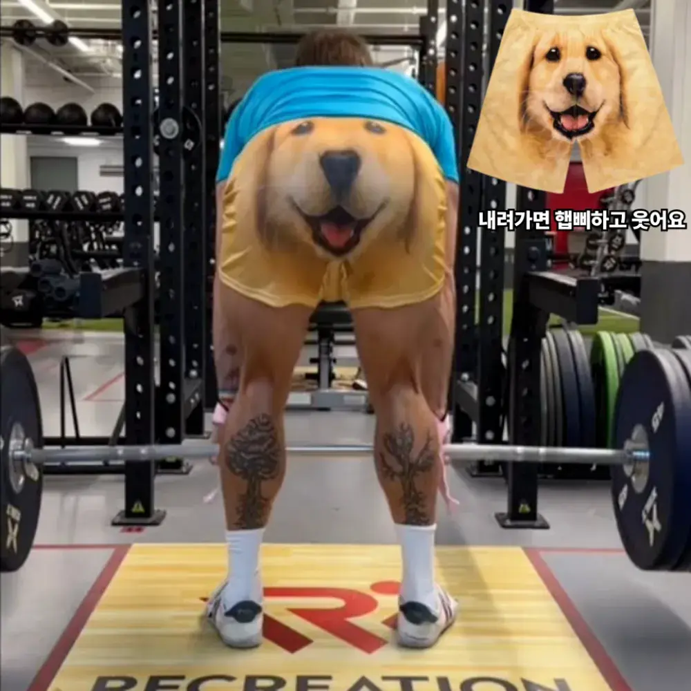 데드 할 때 골든리트리버 팬츠