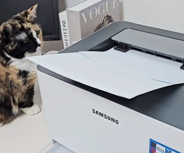 필수템! 컬러레이저프린터