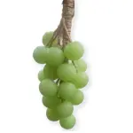 images/2025/7/12/2025-7-12-1752286201256.webp