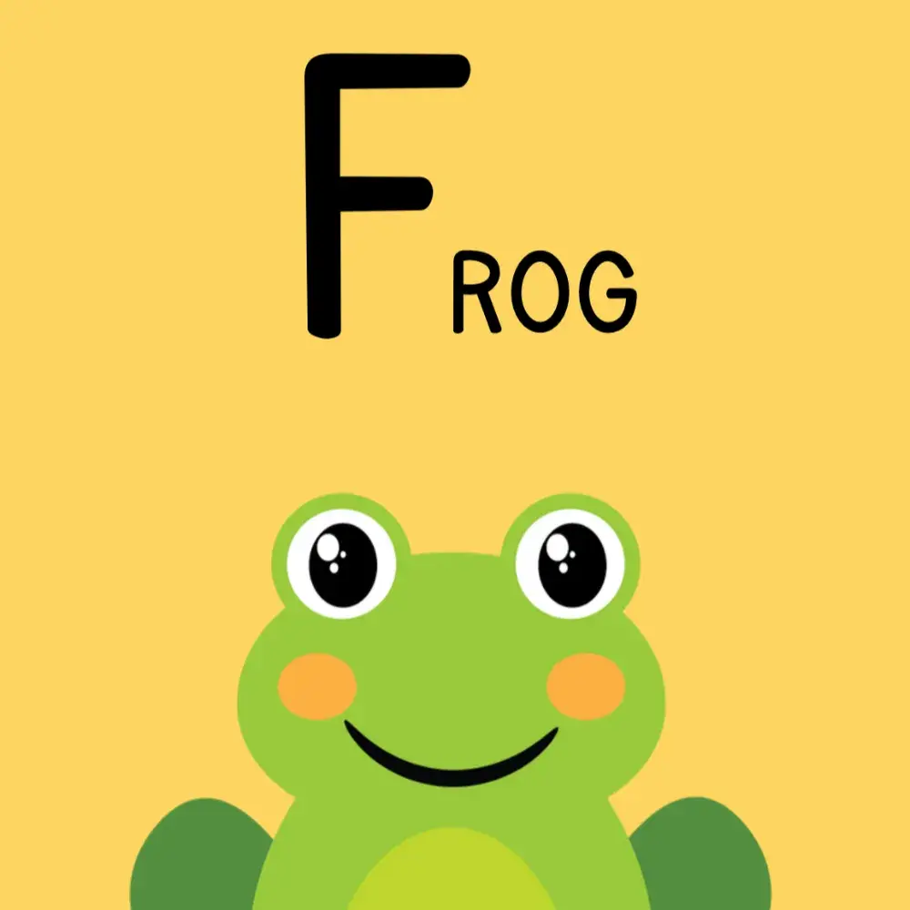 [진샘제작] 동물 알파벳 플래시카드