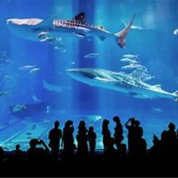 제이드아이 x 오키나와 부산출발 C/S 문의