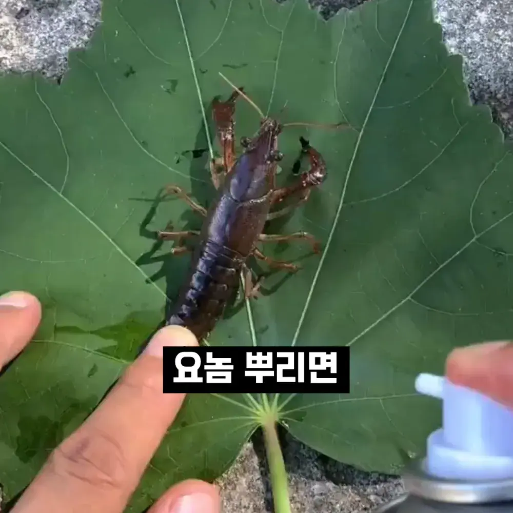 289번-쿨 스프레이