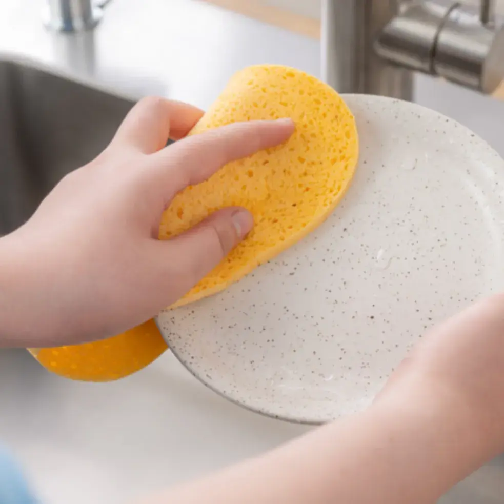 물기 흡수력 최고 스펀지