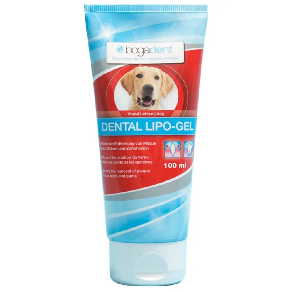 치태 치석 예방 치약