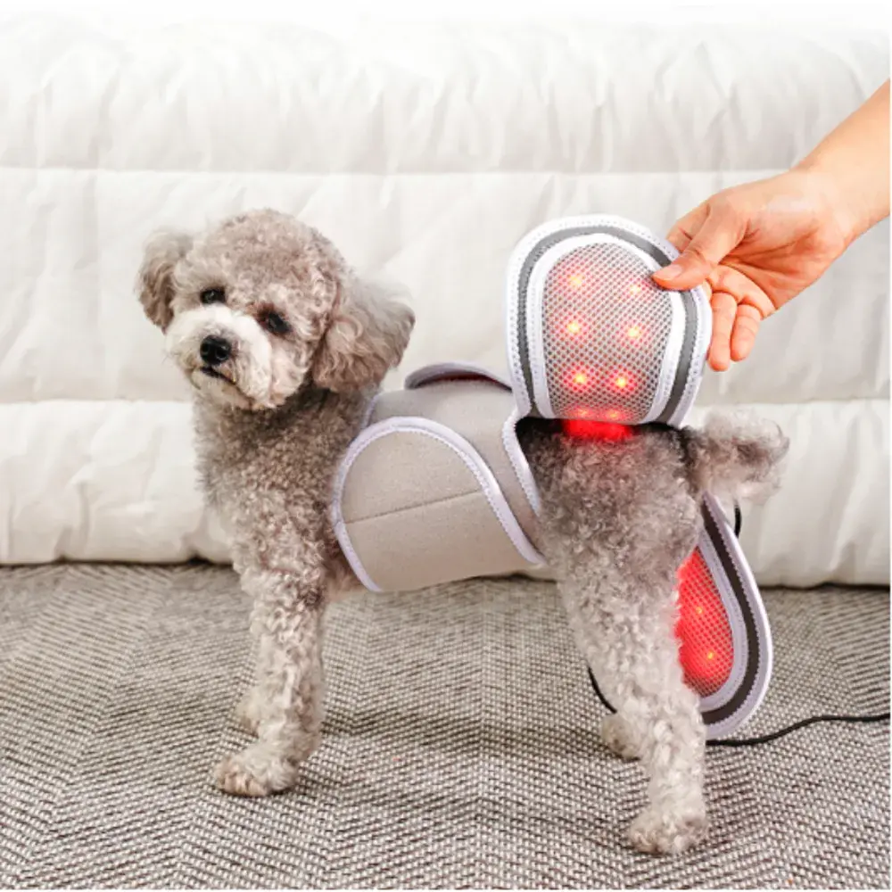 슬개골 근적외선