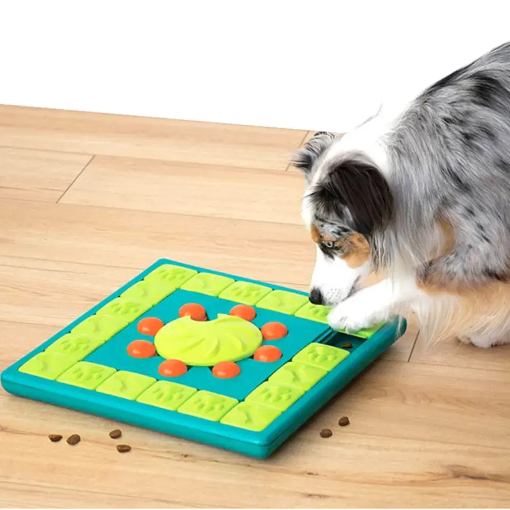 두뇌회전 노즈워크