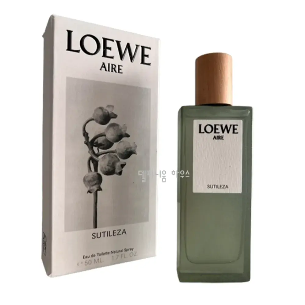 148 로에베 아이레 수틸레사 오드뚜왈렛