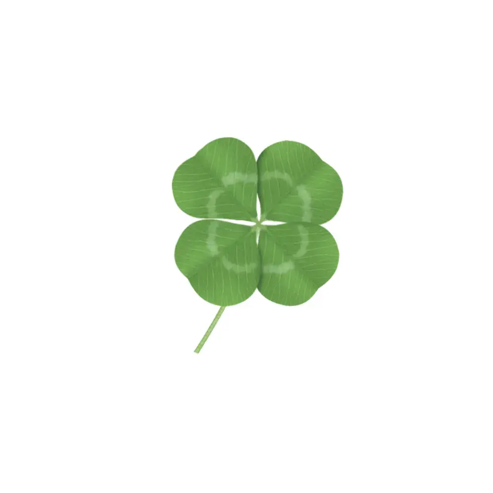 ˖◛⁺˖ 전자책 후기