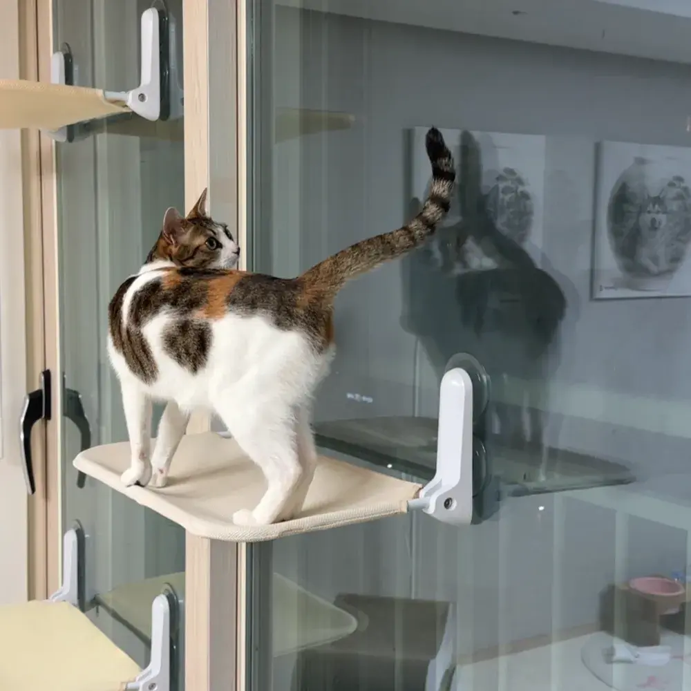 시끄가 쓰는 세이펫해먹 1개단품