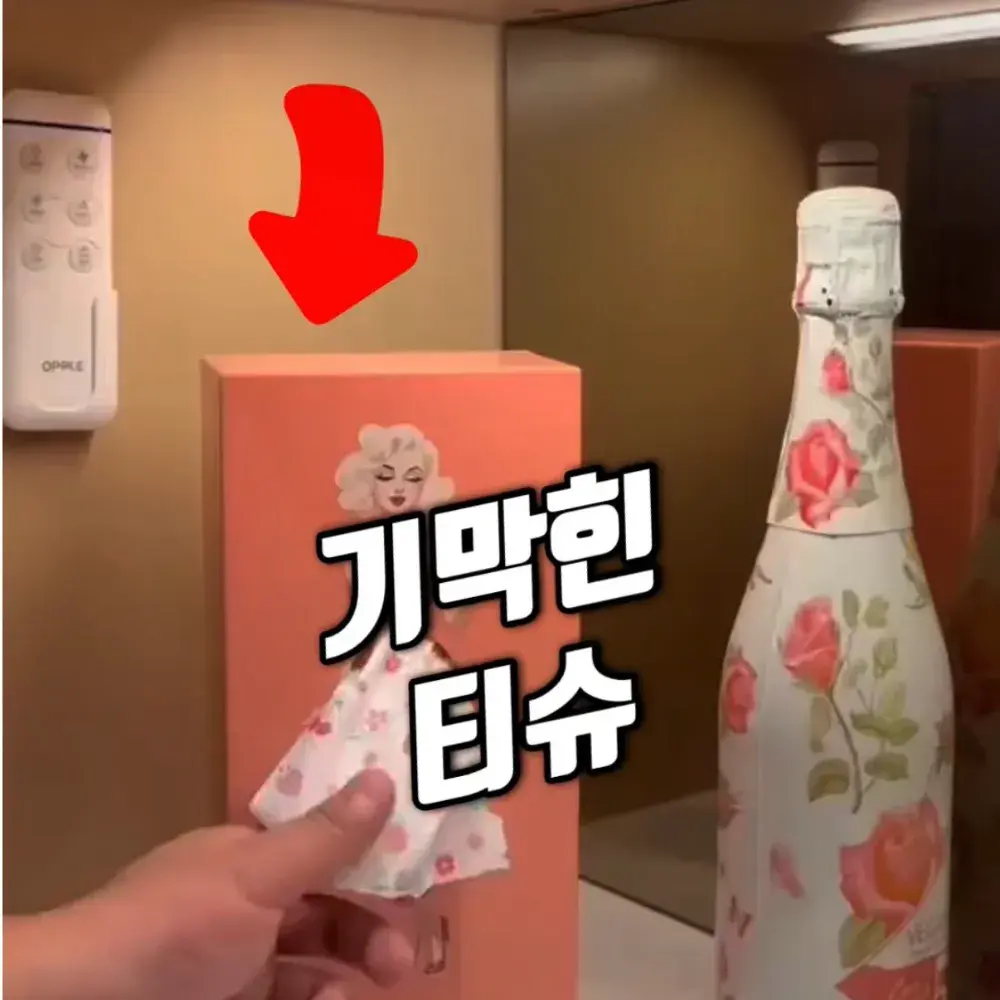 279번-치마 티슈