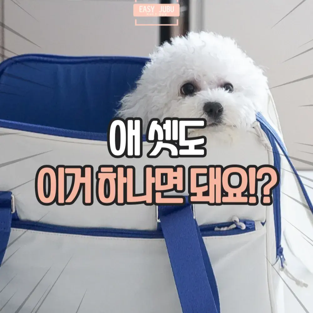 강아지 이동가방