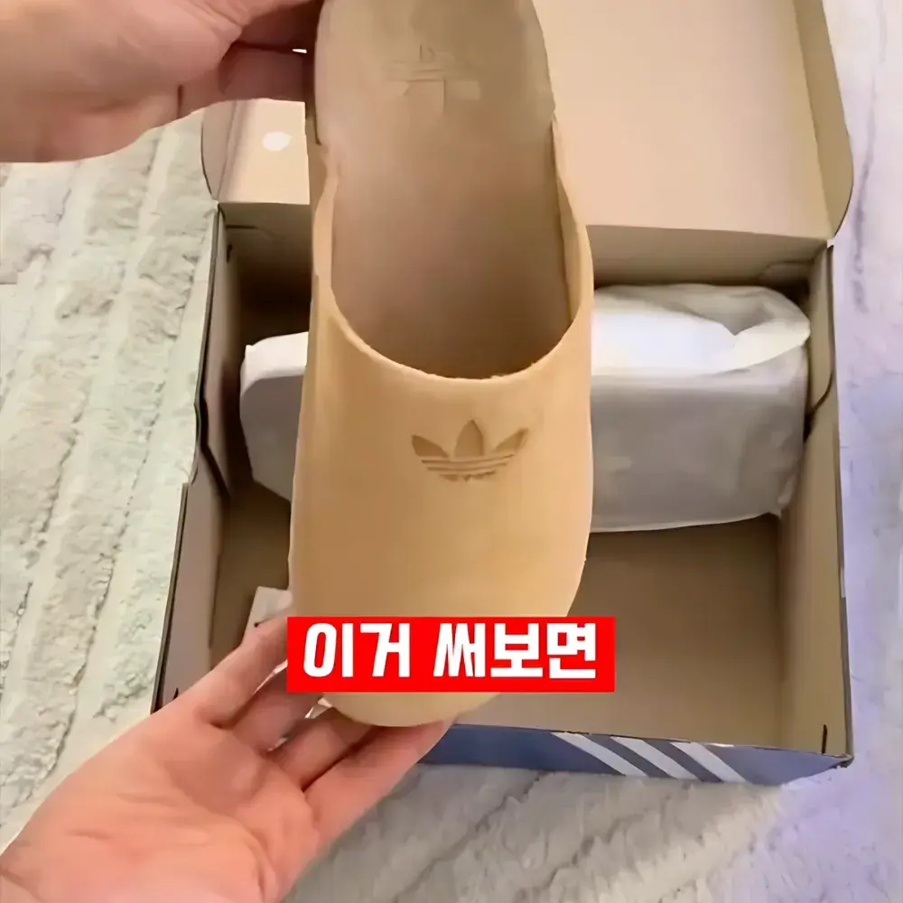 312번-아디다스 신상