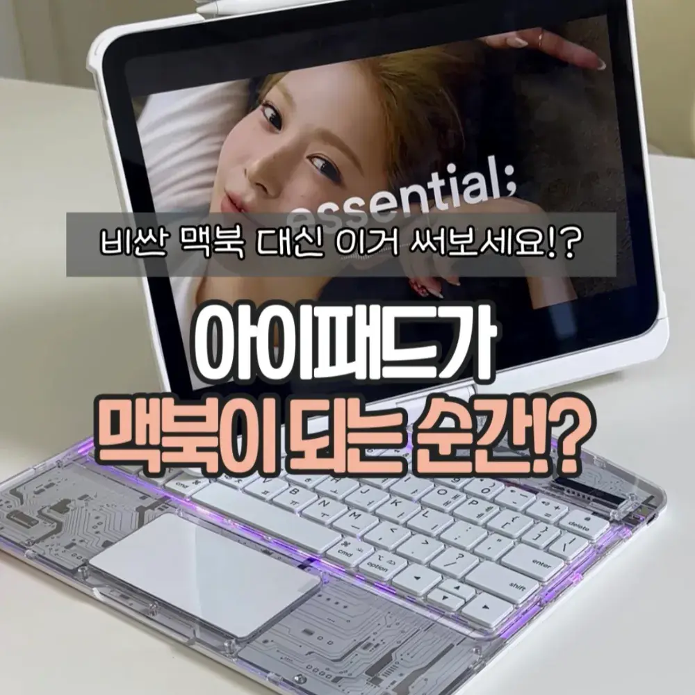 아이패드 케이스