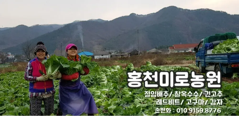 대표 홍낙기
