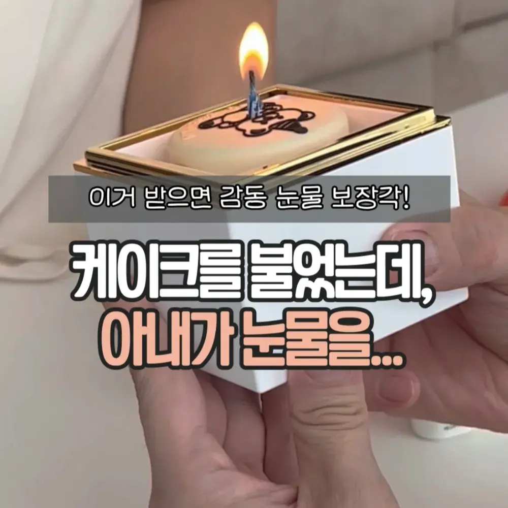 케이크 반지 케이스