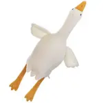 images/2025/8/19/2025-8-19-1755640084575.avif
