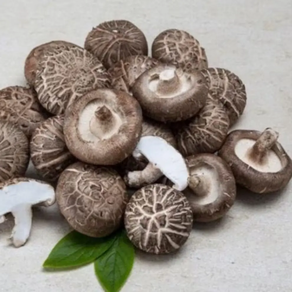 420 표고버섯 1kg