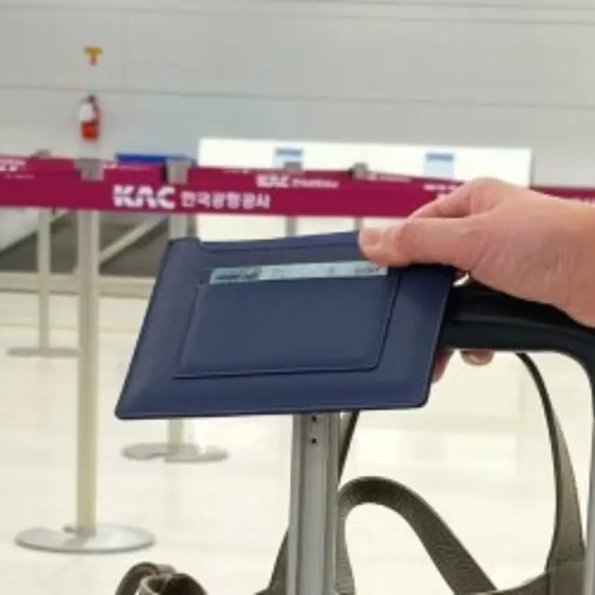 여권케이스 (2년째 사용, 여권 빼기 쉬움)