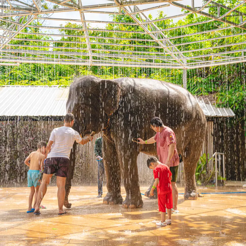 💚지원이네_여행공구 알림방 4 [초대코드 7788]💚