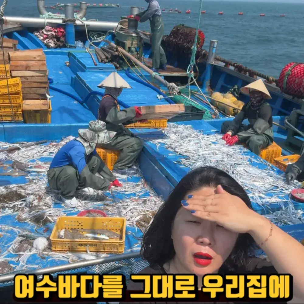 11동해호 네이버스토어