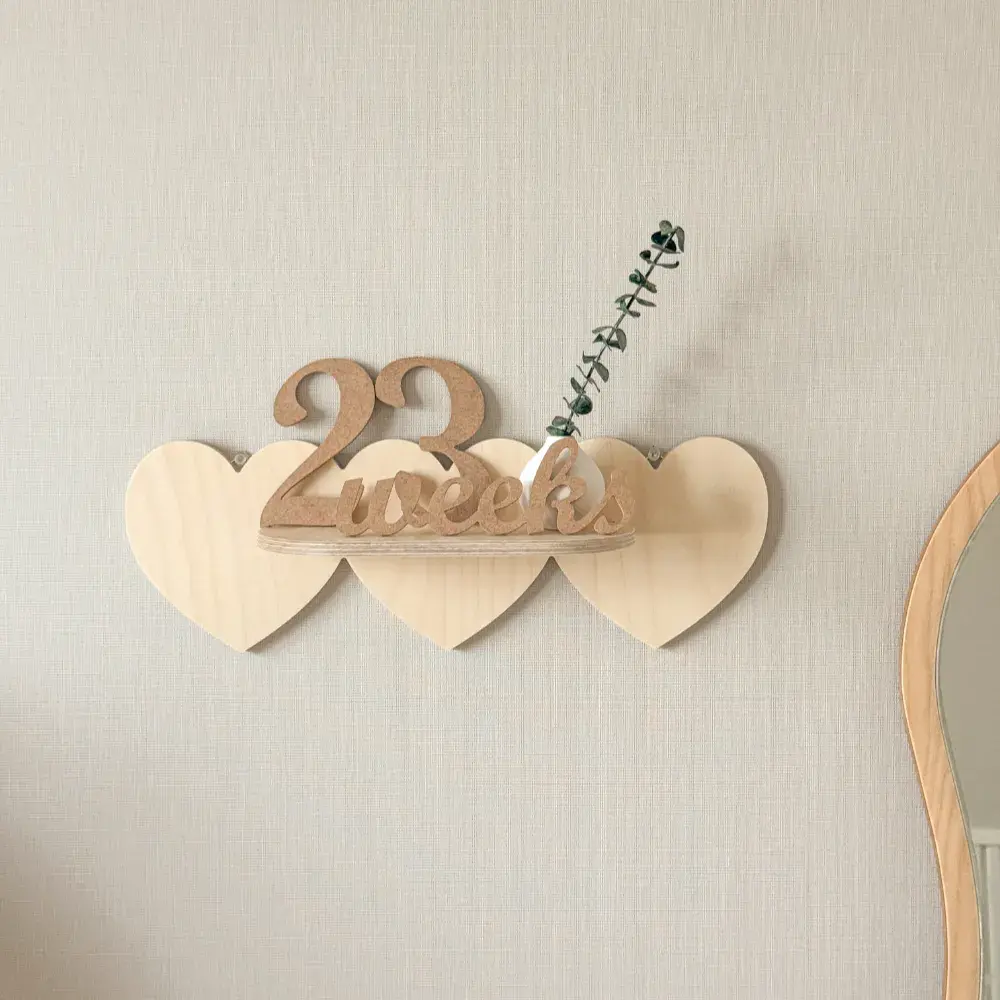 삼둥이 하트 벽선반 , 홈캠 거치대