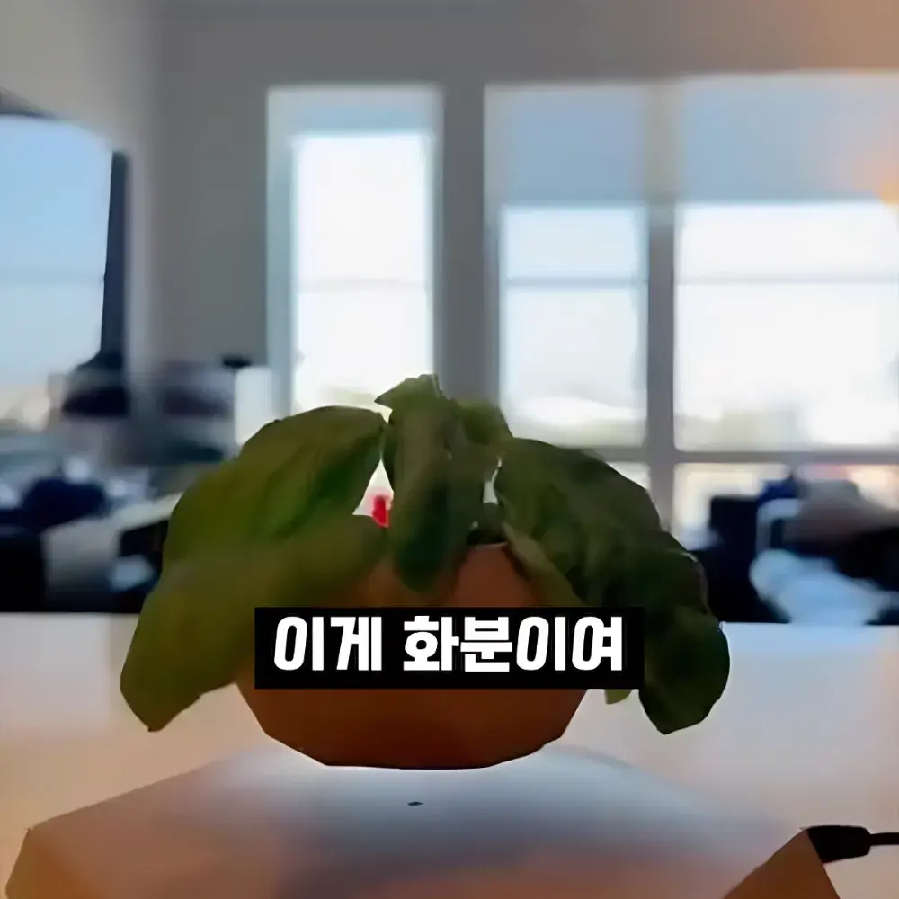 303번-하늘나는 화분