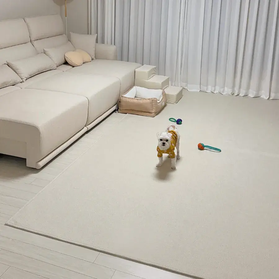 사이잘룩 사계절 러그