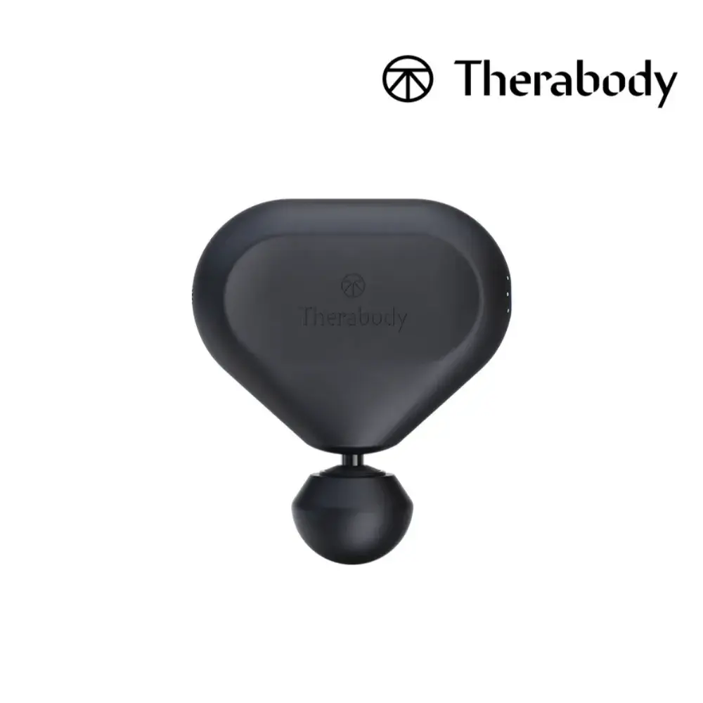 221 테라바디 테라건 미니 2세대 진동 마사지건