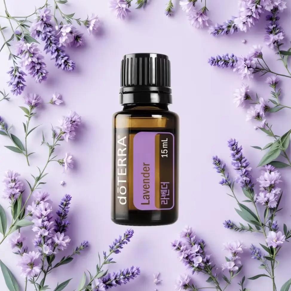 612 도테라 라벤더 오일, 15ml, 1개