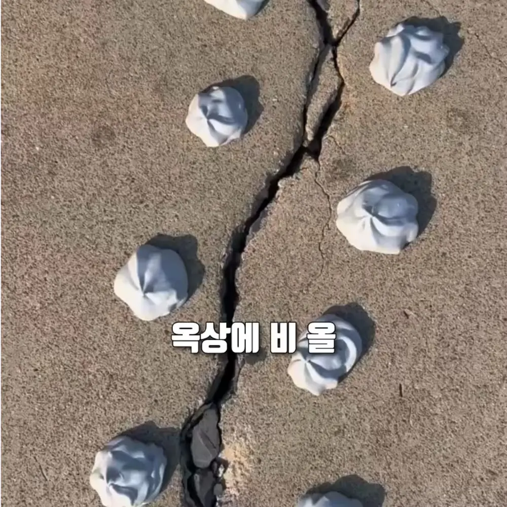 357번-옥상 방수제