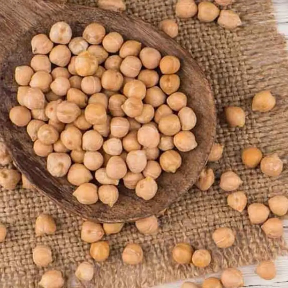 886 농부곡간 캐나다산 병아리콩