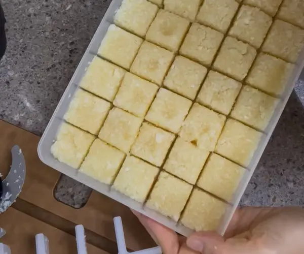 마늘 칸칸이 보관용기