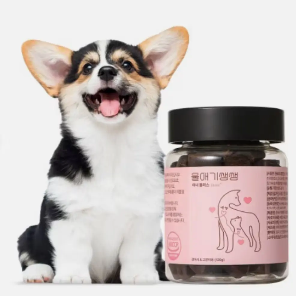 울애기쌩쌩 이너플러스 디어랩스 강아지켁켁거림 기관지 심장 신장 간 영양제 120g, 1개