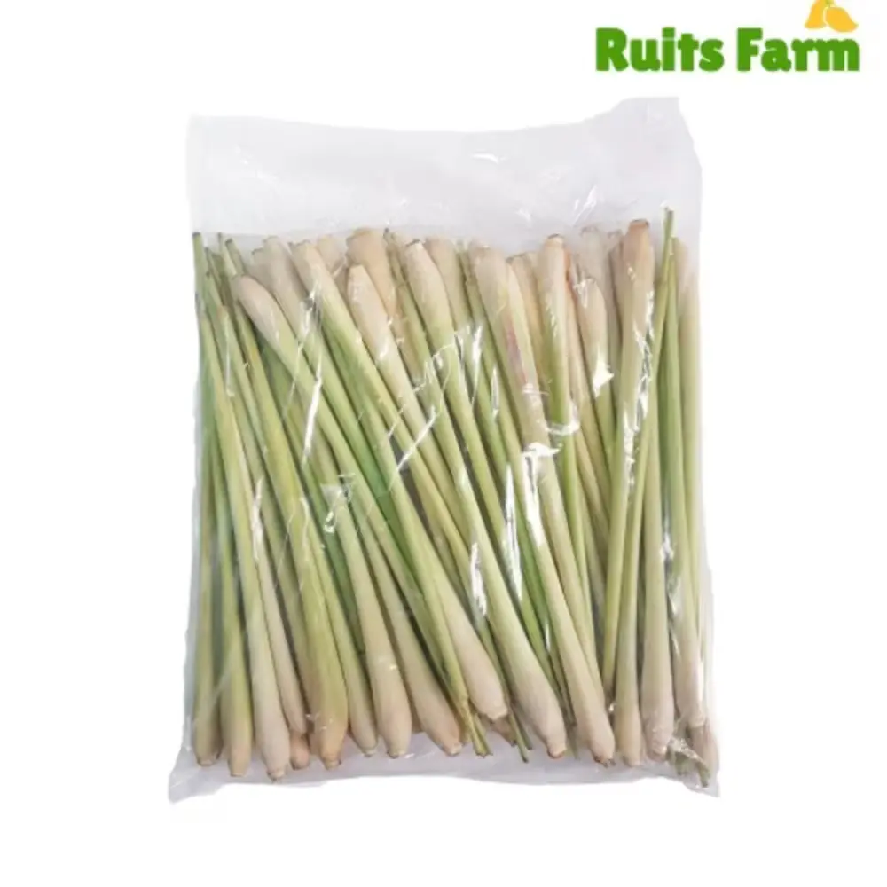 989 베트남 생 레몬그라스