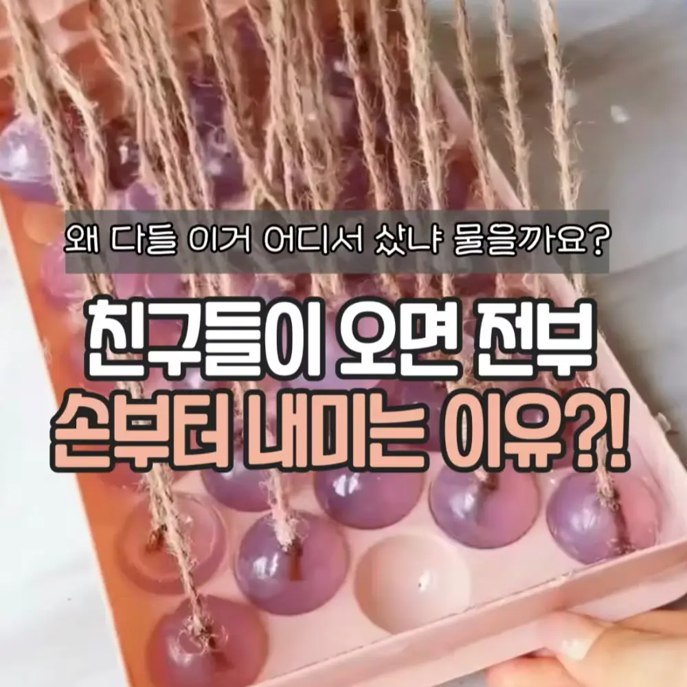 포도비누 DIY 키트