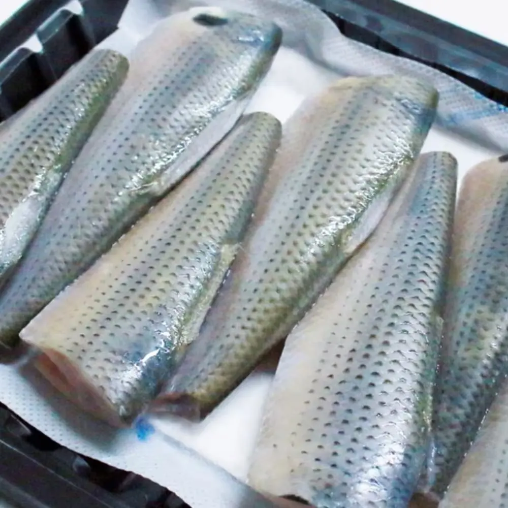 횟감용 손질 전어 필렛