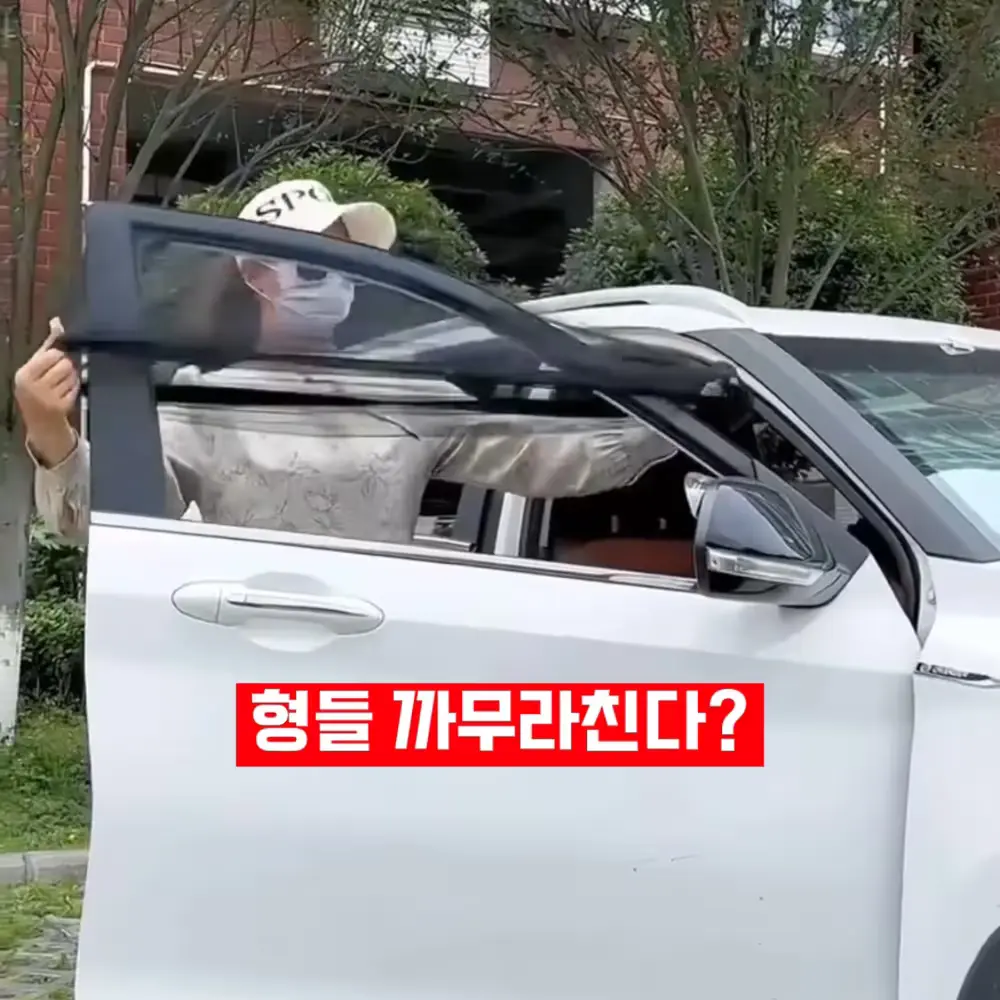 347번-차량 창문 모기장