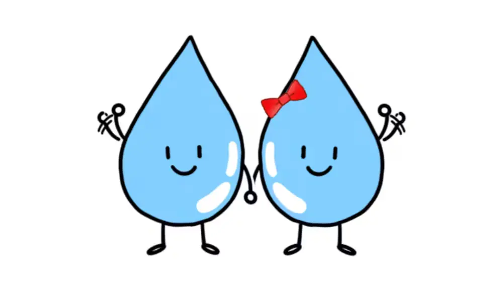 우리학교 마스코트, 마임이와 하임이입니다 •ᴗ•