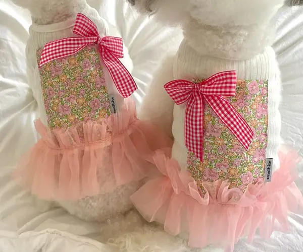 𝑷𝒐𝒄𝒌𝒆𝒕 𝒕𝒐𝒑