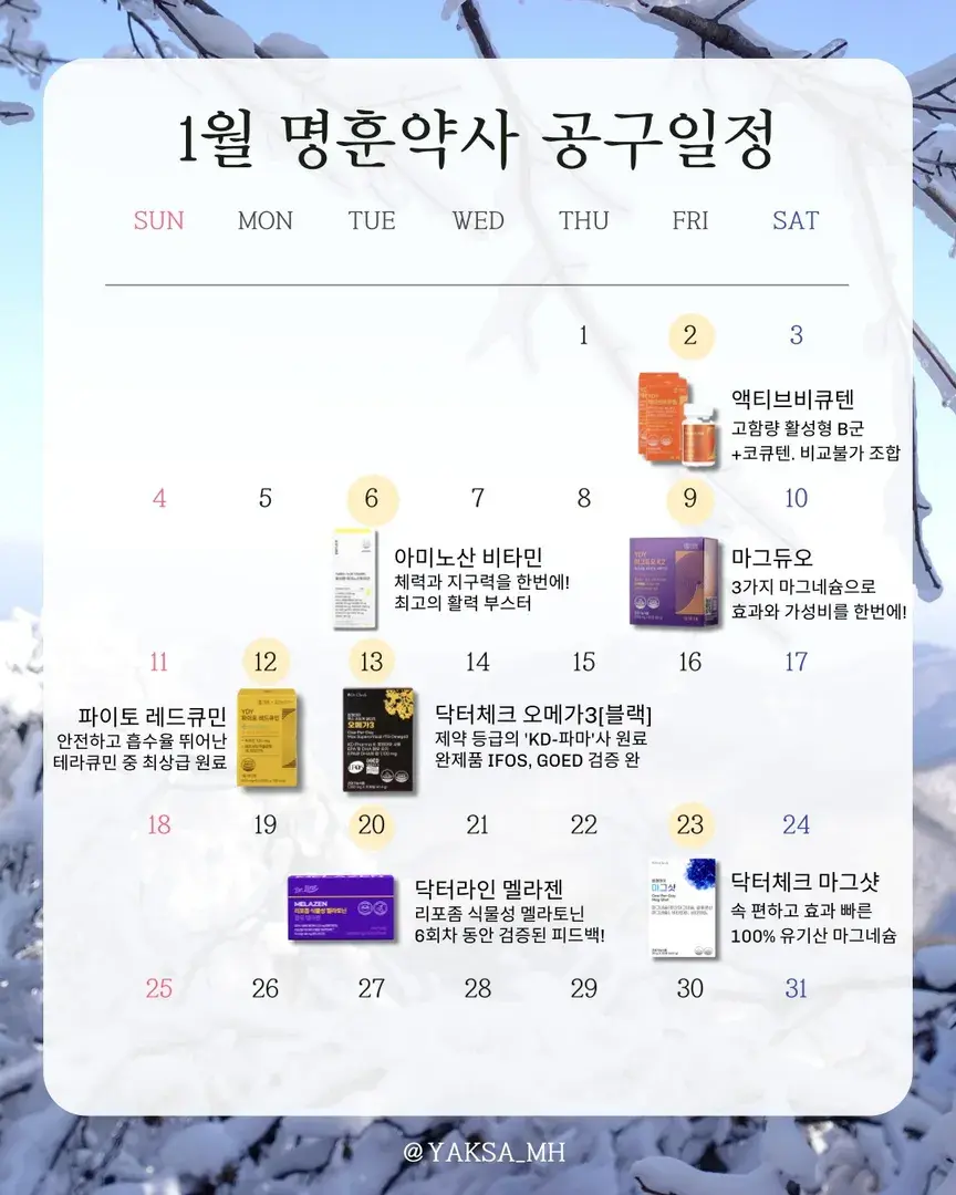 🩵1월 공구일정🩵