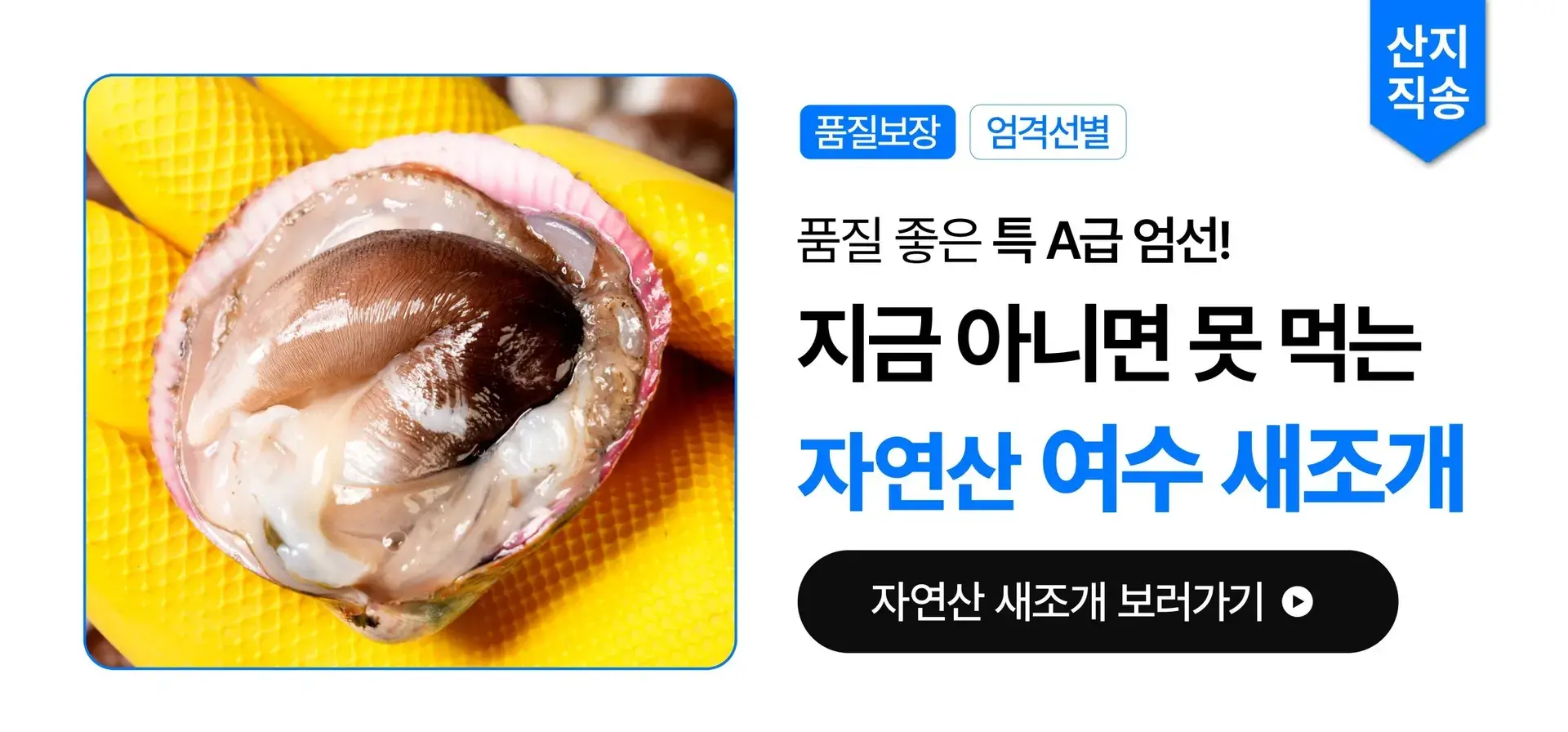 ✨특품 엄격선별! 제철 새조개✨