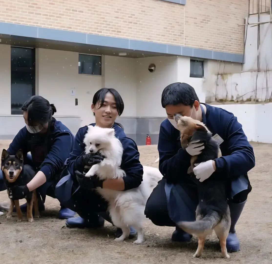 콩이, 한빛이, 둥둥이 너무 귀여워♥️