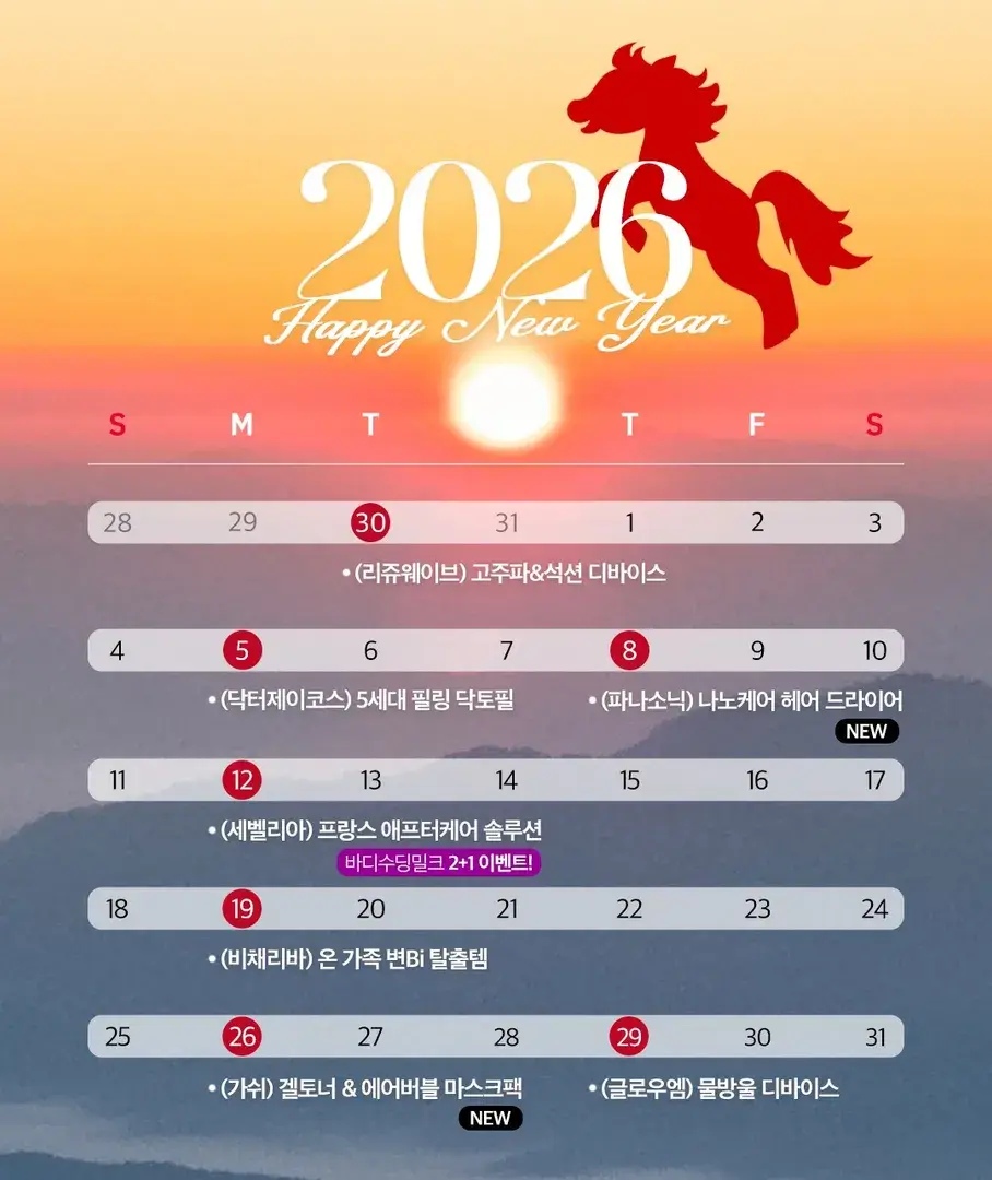 1월 핫딜 스케쥴