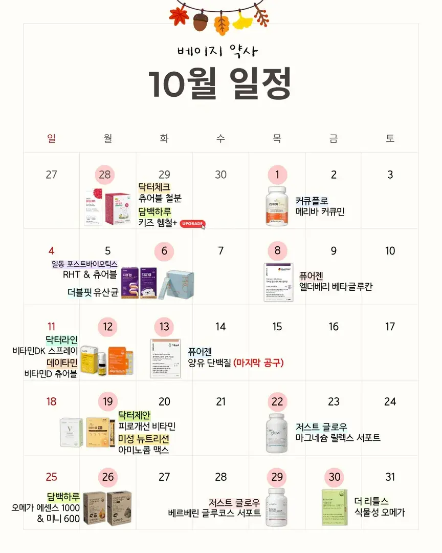 베이지약사 10월 공구