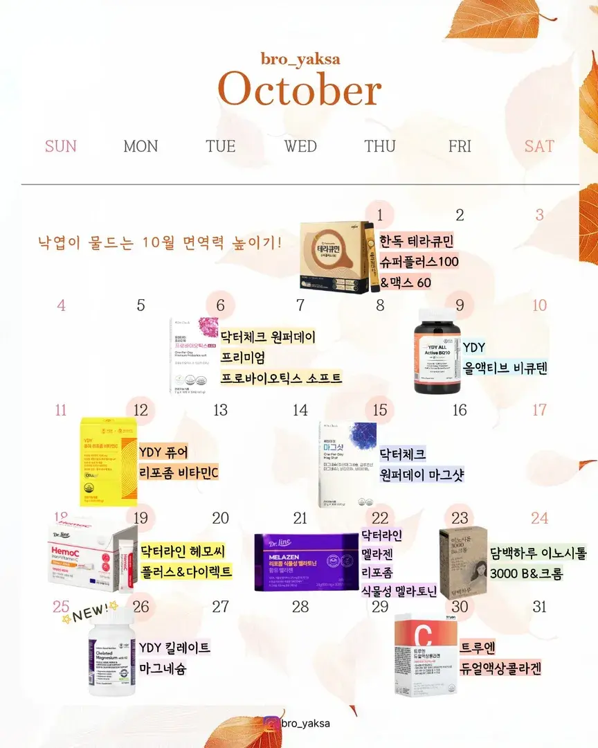 형제약사와 함께하는 10월 일정