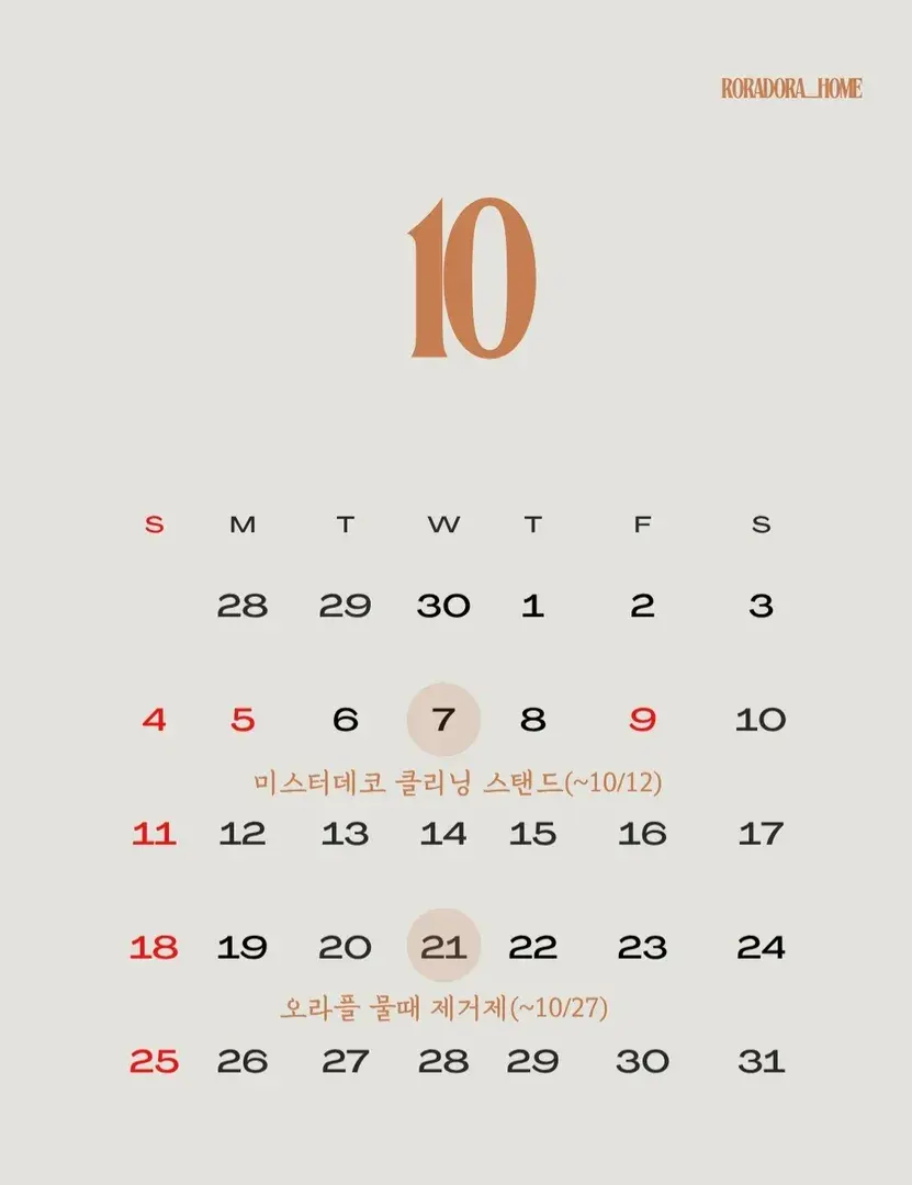 로라도라홈 10월 일정