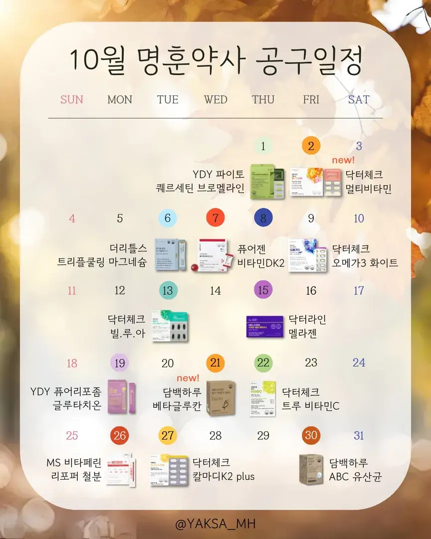 🤎 10월 공구일정 🤎