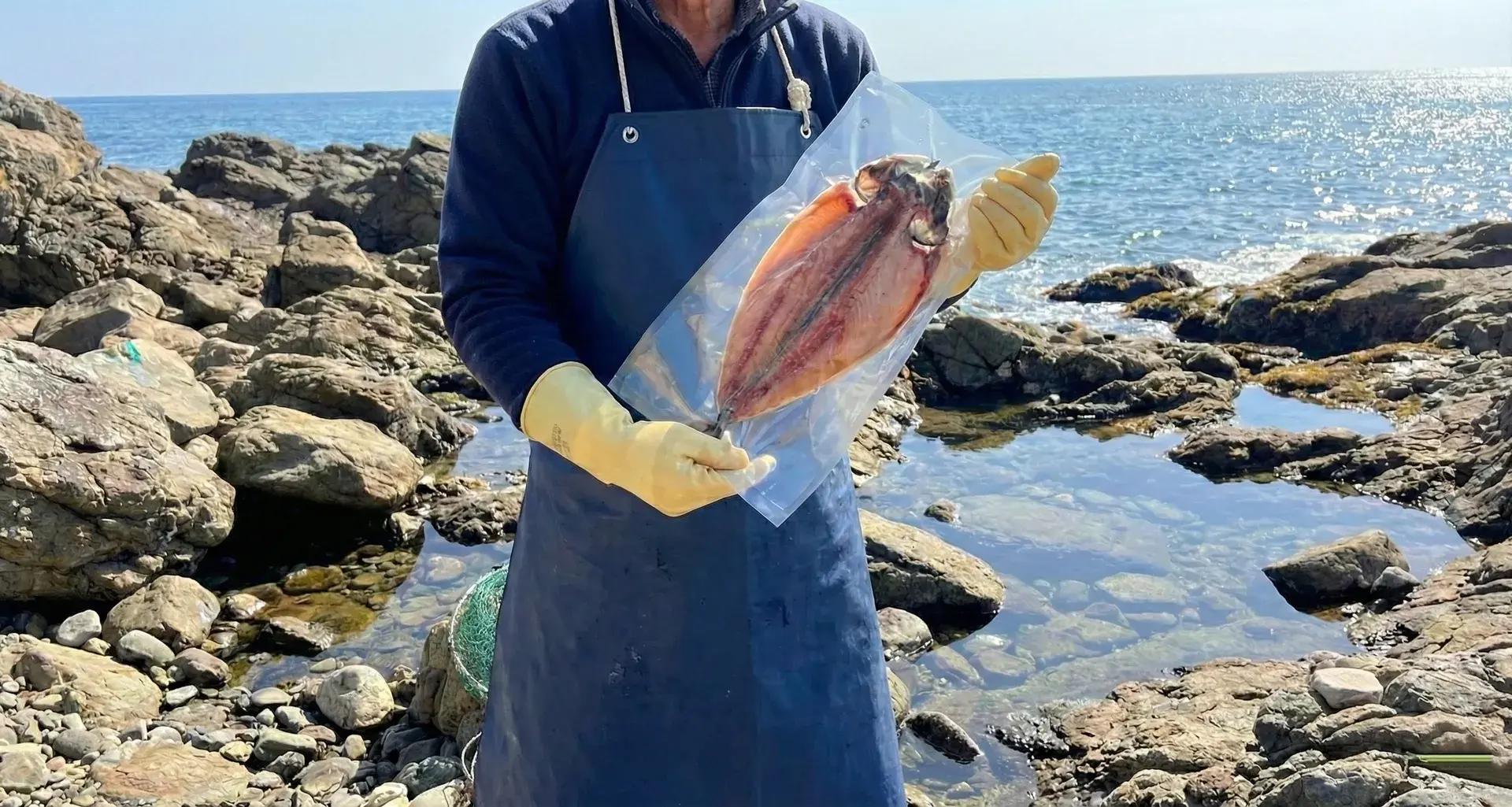 국내산 손질 고등어 250g~400g 2미 세트