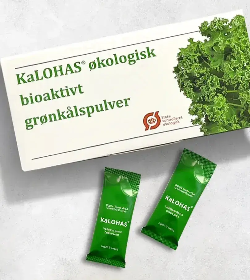 💚NEW 칼로하스 케일가루