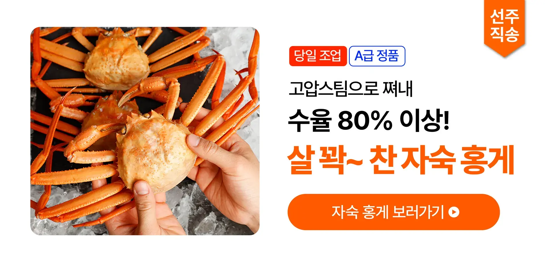 🦀살이 꽉~ 찬 A급 자숙 홍게🦀